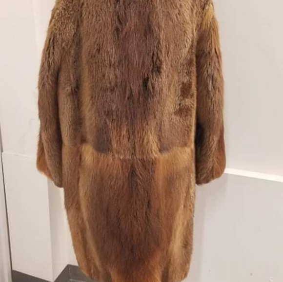 Beaver fur - Picture 3 of 5